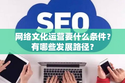 网络文化运营要什么条件？有哪些发展路径？